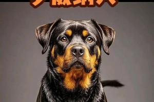 我国被“禁养”的10种猛犬——保护人民生命安全的举措（了解这些禁养猛犬，守护家庭安全）