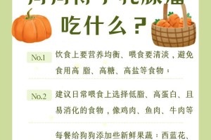狗狗的健康成长（探索适合狗狗发育的主要食物类型及其重要性）