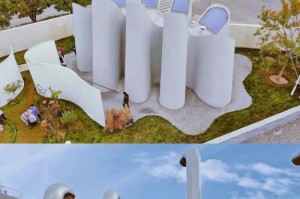 北京哪些公园适合遛狗？