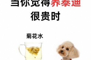 泰迪犬（泰迪犬价格一览及养护花费全解析）