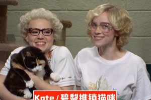 如何成功推销猫（了解市场需求与采取有效策略的关键）