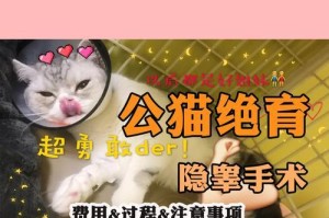 宠物猫绝育的重要性及相关费用解析（公猫和母猫绝育手术的区别和费用差异）