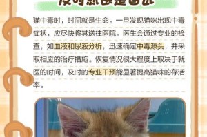 猫中毒多久会致命？（了解猫中毒的死亡时间和常见的毒物）