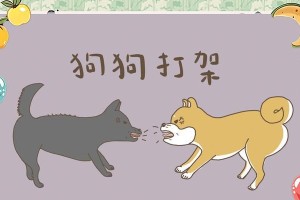 遛狗时狗掐架怎么办？（有效解决遛狗过程中狗掐架的方法）