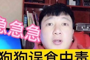 狗吃老鼠药后的表现（了解狗吃老鼠药后的不同症状及处理方法）