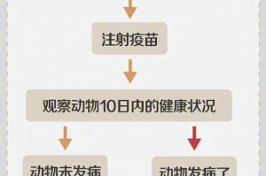 狗突发疾病的常见症状与处理方法（了解你的宠物，应对突发疾病）