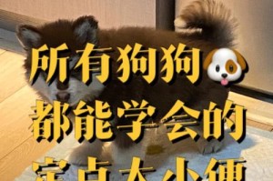 如何训练狗狗上厕所（选择合适的时间段，从小培养良好习惯）
