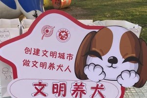 养犬狗证办理指南（关于宠物狗的证件办理流程及要求）