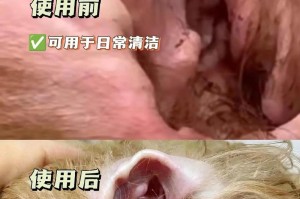 狗狗耳朵清洗频率与方法解析（探讨狗狗耳朵清洗的最佳时间间隔及正确操作技巧）