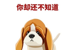 养这几种狗太烧钱了，不是有钱人别养（为什么养这几种狗需要大量经济支持？）
