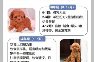 泰迪气管塌陷（探索泰迪气管塌陷的临床表现、治疗方案和寿命预测）