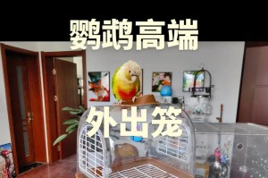 选择大型鹦鹉笼的最佳品牌（为您的鹦鹉提供安全舒适的家园）