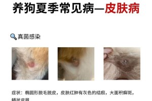 狗的皮肤病（了解你的宠物）