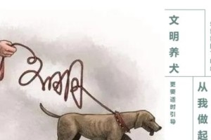 手把手教你如何养好你的爱犬（养狗初学者必备，从基础知识到专业技巧，助你成为优秀的狗主人）