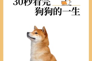 了解狗狗健康的三大指标，关爱宠物的关键（狗狗健康的重要性及其三大指标的介绍）