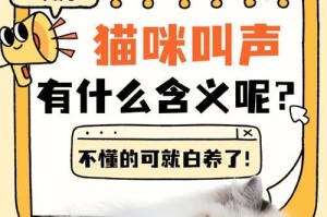 小猫叫声的意义与表达方式（揭秘小猫叫声的情感传达与沟通方式）