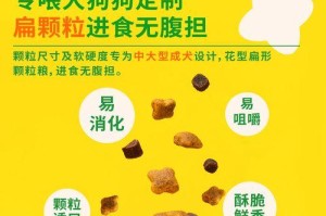 金毛成年犬的科学饲养方法（每天应该喂多少狗粮？）