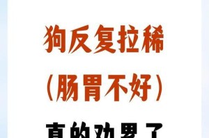狗狗腹泻的原因与处理方法（探究狗狗腹泻的常见原因及应对策略）