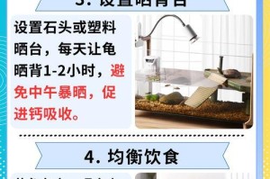 中华龟的饲养（中华龟的饮食习惯及喂食时间间隔的关键因素）