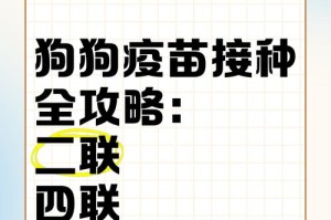 《狗狗四联包括哪些？探究狗狗身体结构和特征》（从头部到尾部，解析狗狗四联的奥秘）