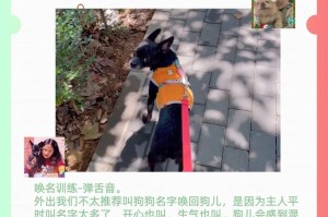 如何选择适合训练狗狗的名字（为你的宠物犬取个合适的名字很重要）