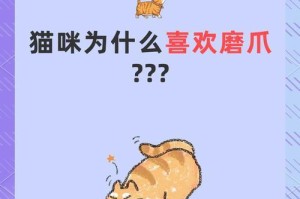 揭秘猫咪舔“爪子”背后的意义（探寻猫咪舔“爪子”的6种隐含意思）