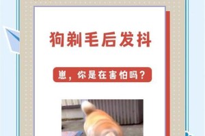 小狗的毛发生长周期及影响因素研究（从出生到长大，了解小狗毛发生长的奥秘）