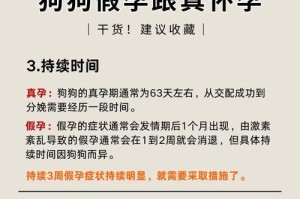 狗的怀孕周期及症状（揭秘狗妈妈的孕育过程和表现）