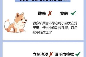 幼犬到家多久可以洗澡？（犬只保健要注意的时间节点和方法）