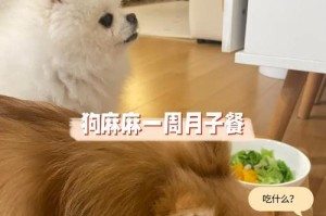 以狗狗做月子要吃什么补身体（为宠物狗狗提供健康的月子饮食）