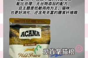 用水泡过的猫粮能放多久？（保存期限与储存方式的关键）