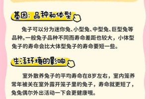 兔子的生育周期（兔子的繁殖能力与生育周期的相关因素）
