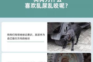 狗狗拉尿训练（掌握关键步骤，让狗狗成为好宝宝）