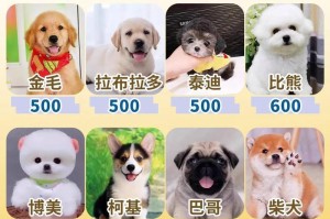 如何挑选萨摩耶幼犬？（萨摩耶犬护理要点）