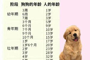 狗狗配种后多久才生？（生育周期及影响因素）