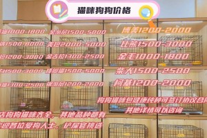长沙正规狗舍大揭秘（探索长沙正规狗舍的宝藏，让你的宠物得到最好的关怀）