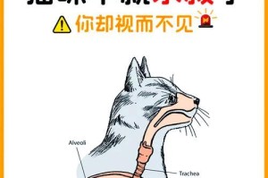 猫咪的应激反应（探索猫咪应激反应的多样性以及适用的缓解措施）