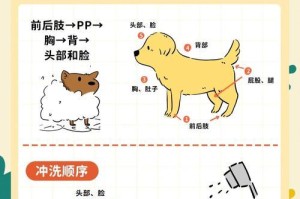 小狗感冒后适合洗澡吗？（洗澡对小狗感冒康复有何影响？）