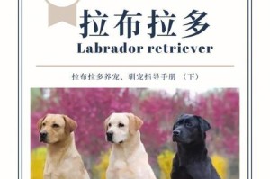 如何培养一只听话的拉布拉多幼犬（训练拉布拉多幼犬成为乖巧的宠物犬）
