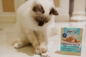 猫的饮食秘密（揭秘猫咪饮食偏好与营养需求，让你成为猫咪的贴心厨师！）