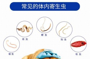 常用的狗打虫药有哪些？（了解狗打虫药种类及选择方法）