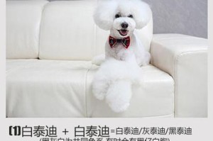 泰迪交配（探讨泰迪犬交配后需要多久才能分开的最佳时机）