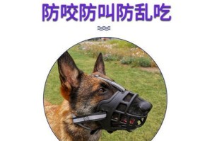 杜宾犬饮食禁忌（了解杜宾犬饮食禁忌，守护它们的健康生活）