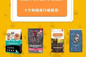 狗狗皮肤病的饮食调理（为狗狗选择适合的狗粮是关键）