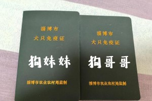 以人挺狗，狗狗陪伴我们的生活（人与狗之间的真挚情谊）