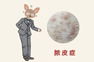 常见狗狗疾病解析（疾病症状、判断与治疗方法一览）