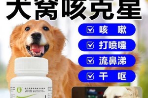 狗吐咳嗽该吃什么药？（药物治疗狗吐咳嗽的有效选择）