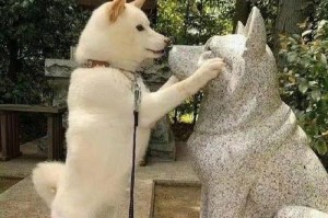 以狗脸子为主题的探索与思考（揭开狗脸子的神秘面纱，探寻其深层意义）
