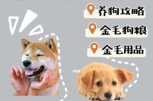 金毛犬的价格与性格介绍（金毛犬价格高不高？适合家庭养吗？）