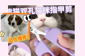 如何正确给猫咪剪指甲？（简单易行的猫咪指甲修剪攻略）